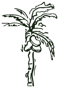 Hand-drawn ink palm tree from the Missteak menu